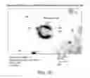 Fig. 03 - Carrier-antibody compositions and methods of making and using the same