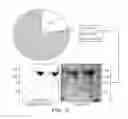 Fig. 04 - Carrier-antibody compositions and methods of making and using the same