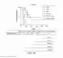Fig. 30 - Carrier-antibody compositions and methods of making and using the same