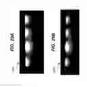 Fig. 29 - Storage device including ultraviolet illumination