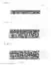 Fig. 02 - Deodorizing mask