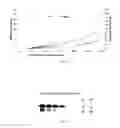 Fig. 02 - PROTEASE RESISTANT GROWTH FACTOR FORMULATIONS FOR CHRONIC WOUND HEALING