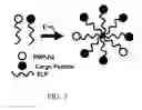 Fig. 04 - PROTEASE RESISTANT GROWTH FACTOR FORMULATIONS FOR CHRONIC WOUND HEALING