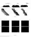 Fig. 07 - PROTEASE RESISTANT GROWTH FACTOR FORMULATIONS FOR CHRONIC WOUND HEALING