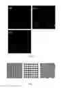 Fig. 03 - Bio-artificial periosteum based on micropatterning of biomimetic mineralized calcium-phosphorus nanoparticles and method for manufacturing the same