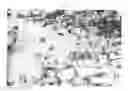 Fig. 02 - Collagen matrix for cell therapy