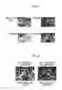 Fig. 05 - Cell structure and method for producing cell structure