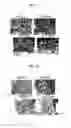 Fig. 06 - Cell structure and method for producing cell structure