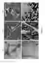 Fig. 08 - PATTERNED SURFACE