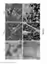 Fig. 08 - PATTERNED SURFACES
