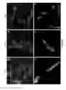 Fig. 09 - PATTERNED SURFACES