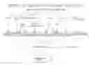 Fig. 01 - Cardiovascular prostheses