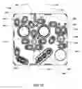 Fig. 75 - Hemodialysis systems and methods