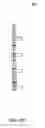 Fig. 81 - Hemodialysis systems and methods