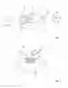 Fig. 03 - IN SITU REACTION DEVICE