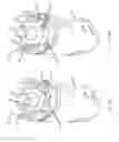 Fig. 06 - Portable drug mixing and delivery device and associated methods