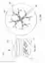 Fig. 40 - Portable drug mixing and delivery device and associated methods