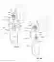 Fig. 45 - Modular pulmonary treatment system