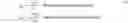 Fig. 03 - METHODS AND ASSOCIATED NEURAL PROSTHETIC DEVICES FOR BRIDGING BRAIN AREAS TO IMPROVE FUNCTION