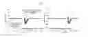Fig. 19 - METHODS AND ASSOCIATED NEURAL PROSTHETIC DEVICES FOR BRIDGING BRAIN AREAS TO IMPROVE FUNCTION
