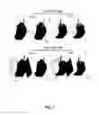Fig. 07 - Systems and methods for programming and operating deep brain stimulation arrays
