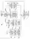 Fig. 12 - Programming and virtual reality representation of stimulation parameter groups
