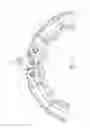 Fig. 10 - Waist training device