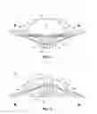 Fig. 06 - Swim fin