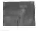 Fig. 01 - Virtual hunting devices and uses thereof