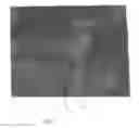 Fig. 04 - Virtual hunting devices and uses thereof
