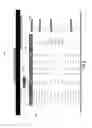 Fig. 10 - System and method for generating personalized messaging campaigns for video game players