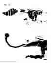 Fig. 31 - Assembly-type evolutionary game system