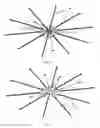Fig. 04 - Radially Extended Spindle Kite