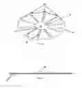 Fig. 07 - Radially Extended Spindle Kite