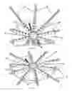 Fig. 08 - Radially Extended Spindle Kite