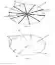 Fig. 09 - Radially Extended Spindle Kite