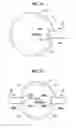 Fig. 08 - COrecovery device and COrecovery method
