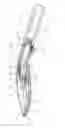 Fig. 08 - Waterway switching device and a shower head including the device