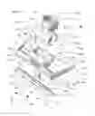 Fig. 03 - COMPOUND APPLICATOR