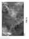 Fig. 08 - METHOD FOR MANUFACTURING A POROUS METAL MATERIAL FOR BIOMEDICAL APPLICATIONS AND MATERIAL OBTAINED BY SAID METHOD
