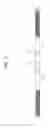 Fig. 03 - RACK MANUFACTURING APPARATUS AND RACK MANUFACTURING METHOD