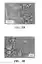 Fig. 06 - Femtosecond laser pulse surface structuring methods and materials resulting therefrom