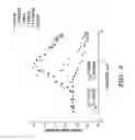 Fig. 09 - Femtosecond laser pulse surface structuring methods and materials resulting therefrom