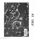 Fig. 15 - Femtosecond laser pulse surface structuring methods and materials resulting therefrom