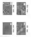 Fig. 18 - Femtosecond laser pulse surface structuring methods and materials resulting therefrom