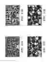 Fig. 28 - Femtosecond laser pulse surface structuring methods and materials resulting therefrom