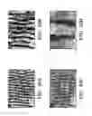 Fig. 29 - Femtosecond laser pulse surface structuring methods and materials resulting therefrom