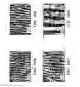 Fig. 30 - Femtosecond laser pulse surface structuring methods and materials resulting therefrom
