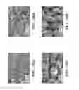 Fig. 31 - Femtosecond laser pulse surface structuring methods and materials resulting therefrom