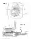 Fig. 04 - Pre-tensioning tool for an engine tensioner
